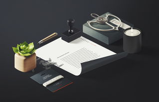 商务办公与体育用品VI样机设计素材全解析